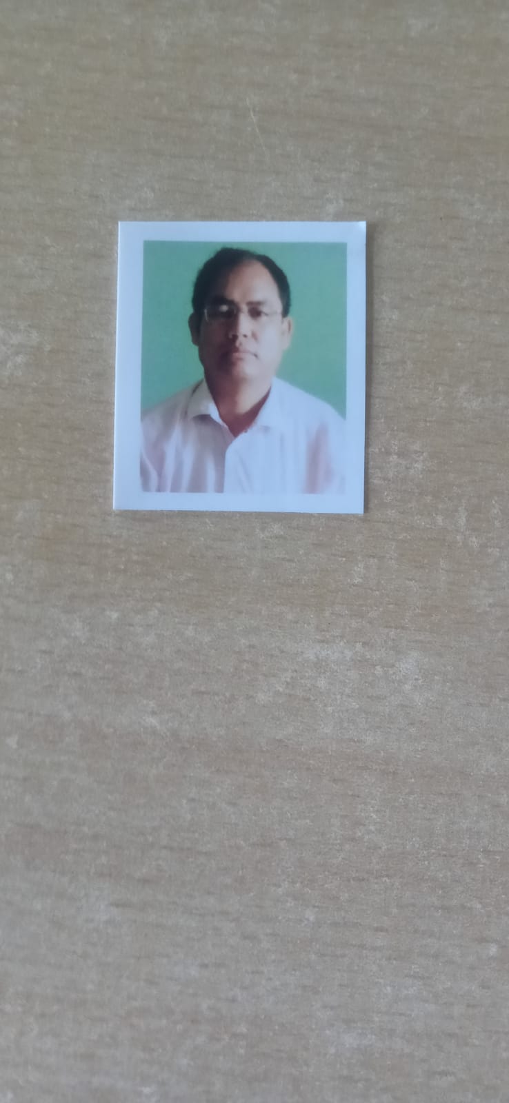 Mr. Binoy Pegu